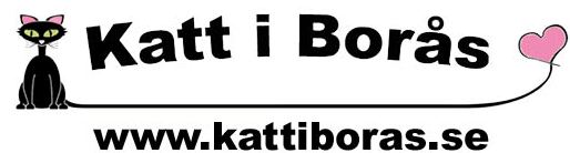 KIBlogga1